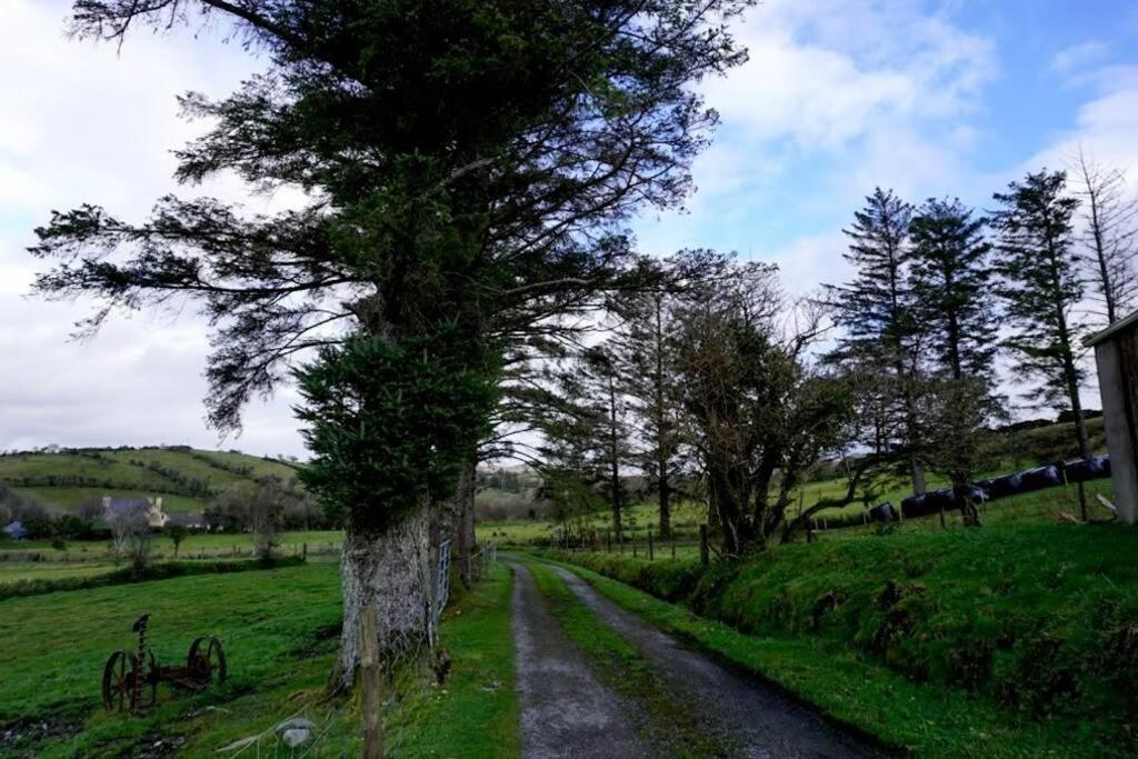 Meenadreen Cottage Donegal Town Exterior photo