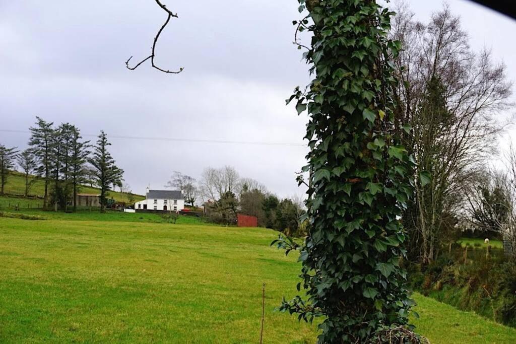 Meenadreen Cottage Donegal Town Exterior photo