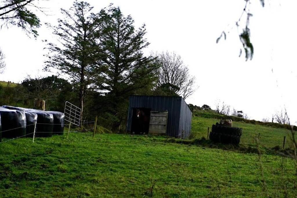 Meenadreen Cottage Donegal Town Exterior photo