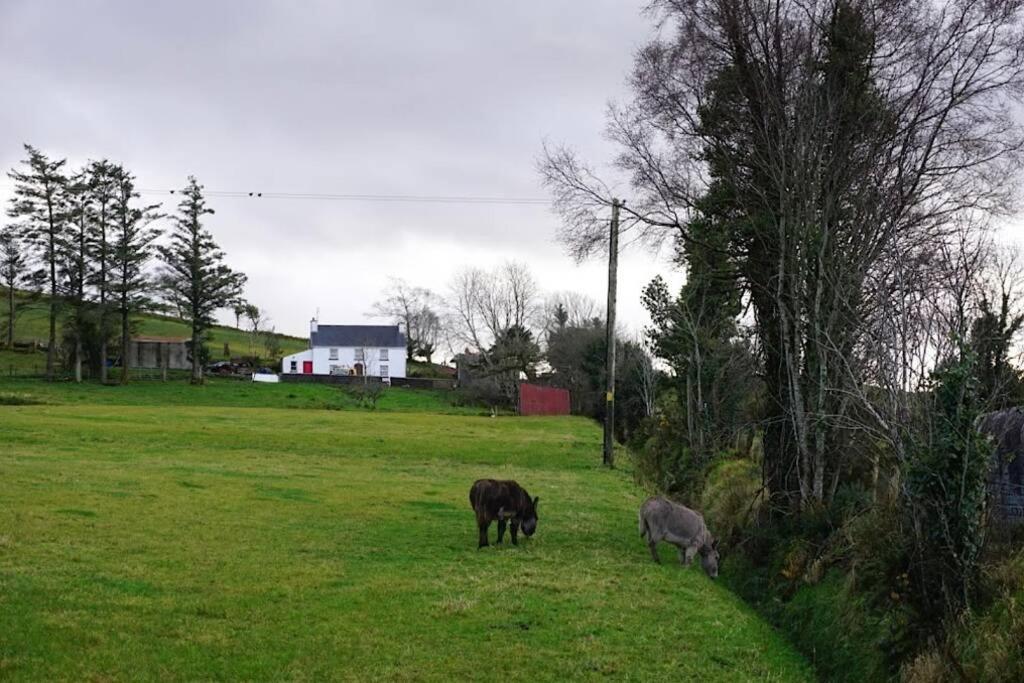 Meenadreen Cottage Donegal Town Exterior photo